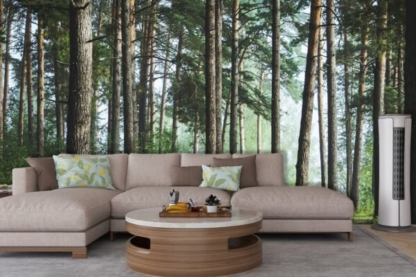 A Wallpaper of a Path through a Nature