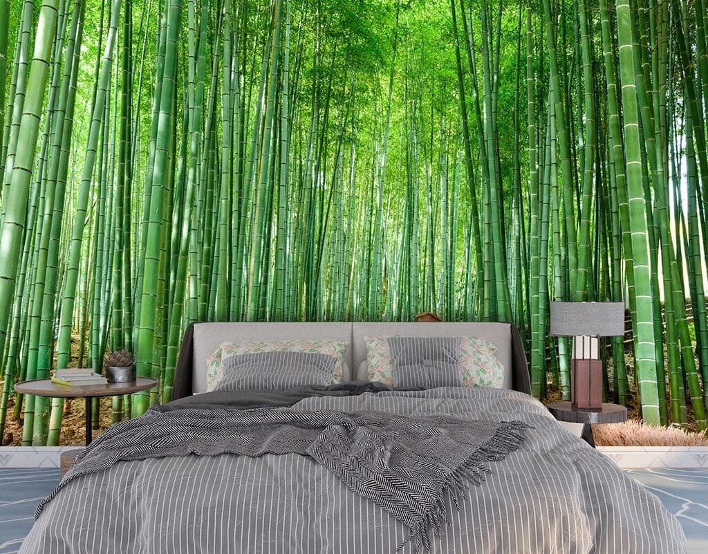 Bamboo Forest Wallpaper for Walls, Forest Bamboo Mural