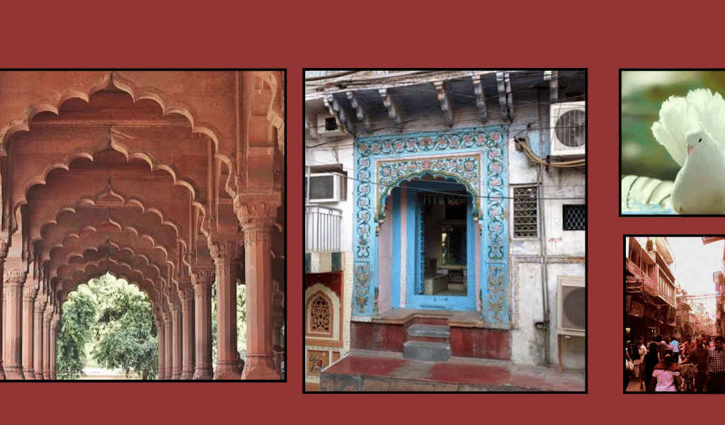 Untitled design 6 13