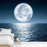 Chandra Shobha Mesmerizing Moon Over The Sea Wallpaper Mural